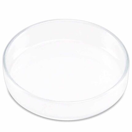 ISTA - Shrimp Feeding Dish