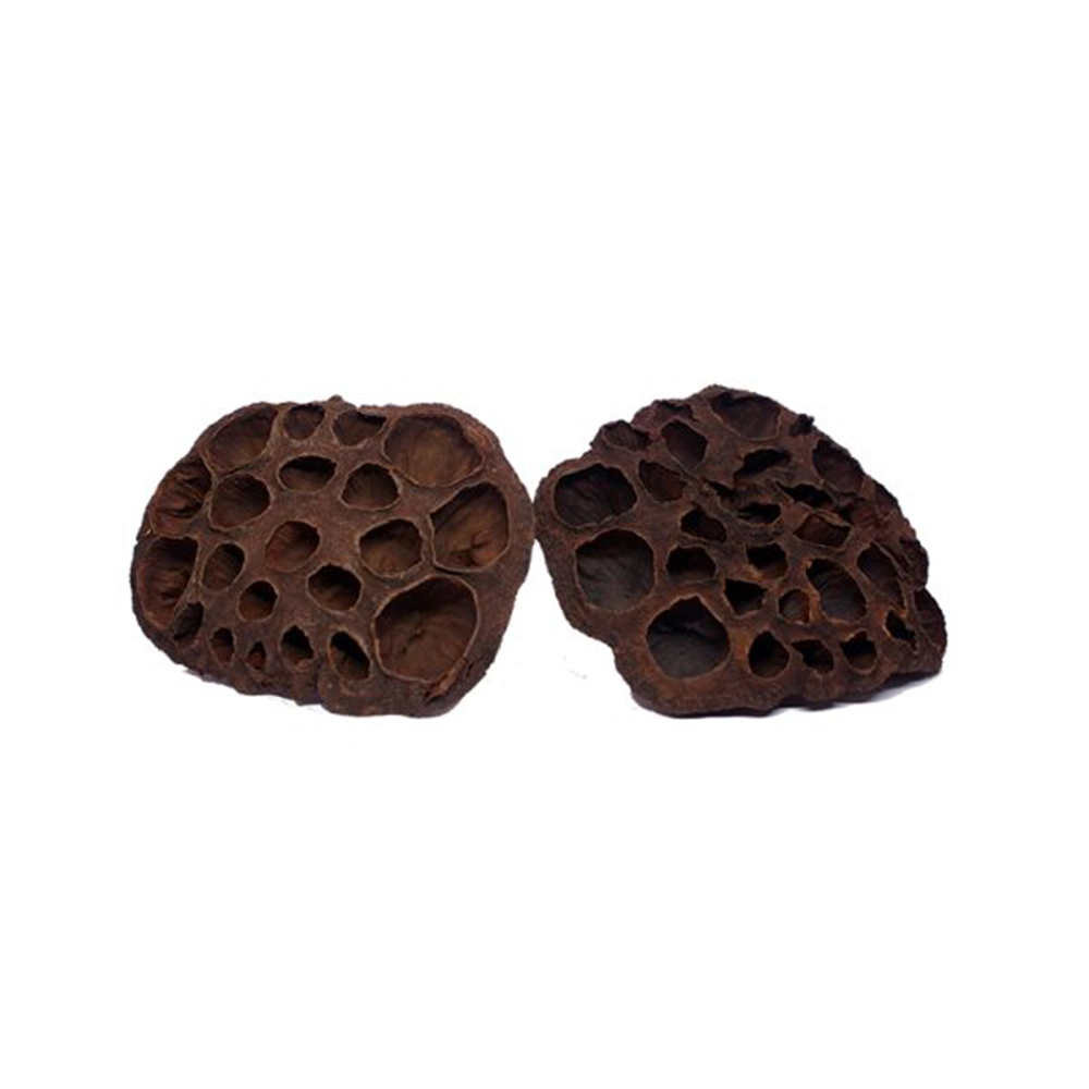 Deverose Lotus Pods