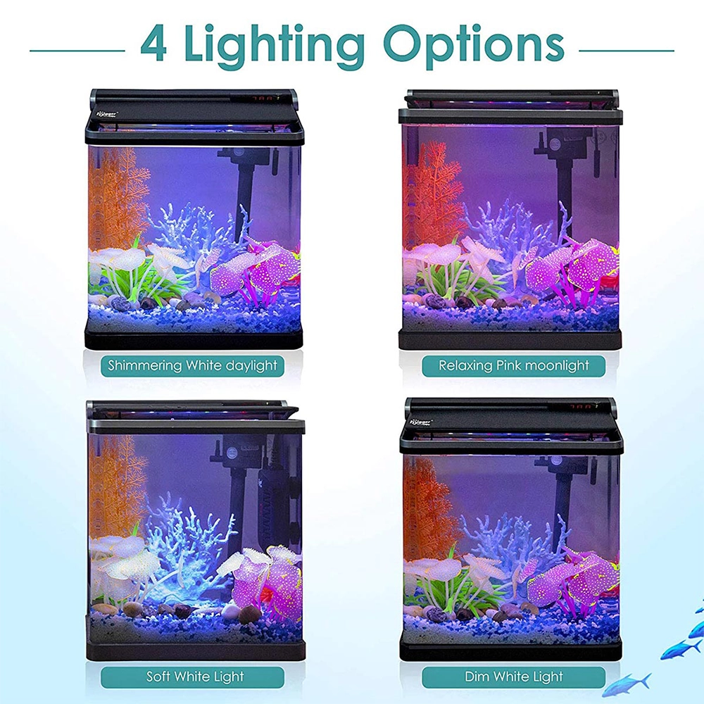 Hygger Curve Mini Aquarium Kit